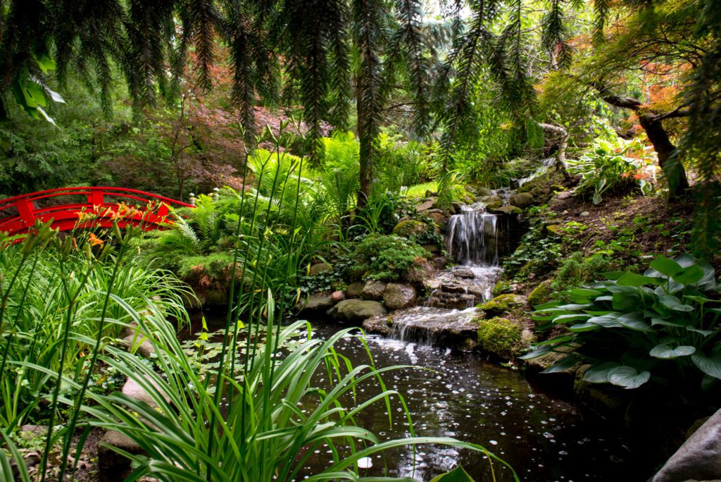 Japanese Garden – Wandering Tree Estate, Private Luxury Venue