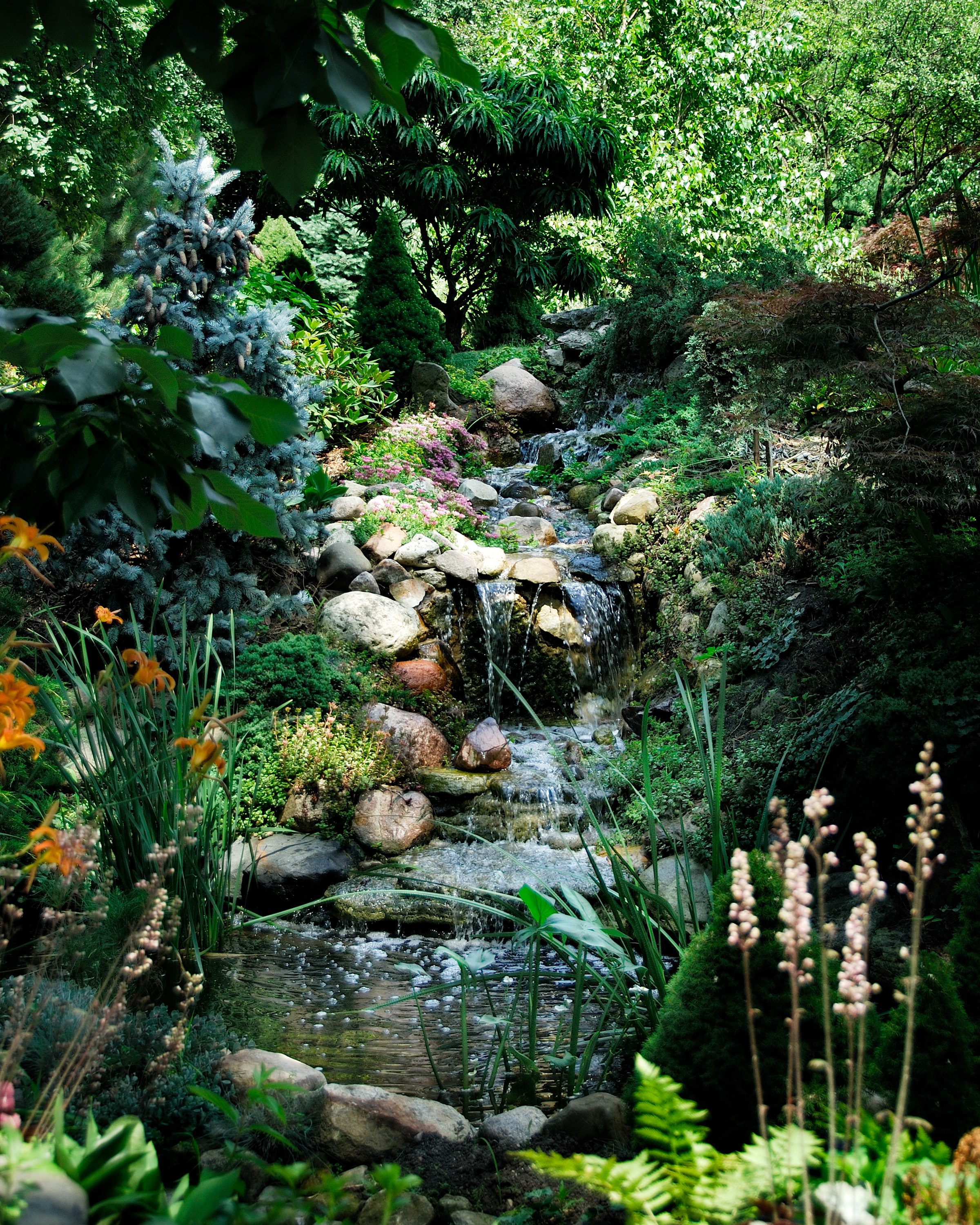Japanese Garden – Wandering Tree Estate, Private Luxury Venue